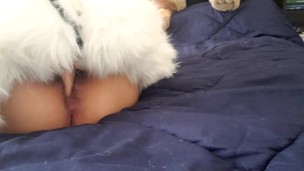 Humping gorilla plushie