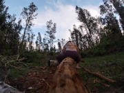 log skinning virgin no more 1/16