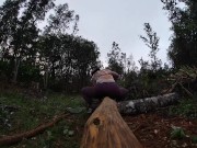 log skinning virgin no more 13/16