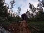 log skinning virgin no more