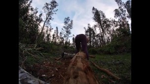 log skinning virgin no more