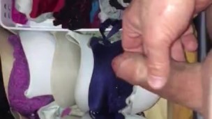 Dare me to cum in my wifes Bra and Panty drawer?