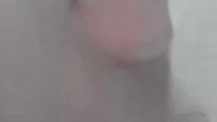  lechita