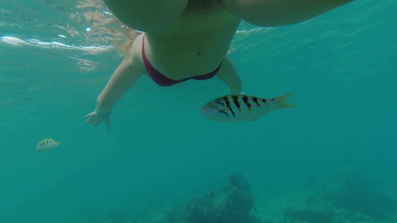 Snorkeling Porn