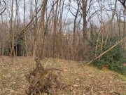 Ragazza in cerca di un posticino nel bosco per farmi un bel pompino 16/16