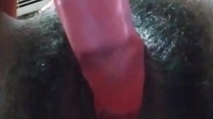 Toy pinky