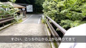 屋久島に来た。とても美しい風景に感動
