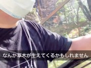 #15 大都会のオアシスを歩く大手町100メートルの旅