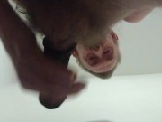 Waiting for s sexy womans pussy 4/16