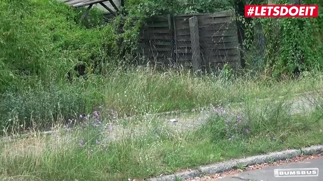 BumsBus - July Johnson Busty German Teen Paid For Hardcore Interracial Car Sex - LETSDOEIT - Free Sex Video - RedTube