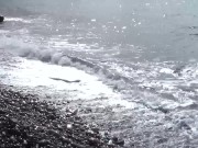 NUDIST BEACH Nude couple at the beach naked couple at the nudist beach Naturist beach 6/16