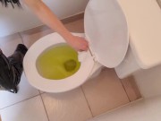 Kitty Does A Standing Piss in The Water Closet 15/16