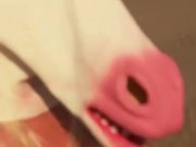 It's a psychedelic freakout!!! 4/16