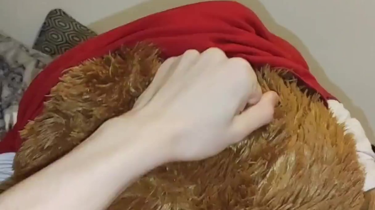 Very horny boy fucks his teddy bear up his furry ass while moaning