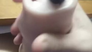 Im toys are broken