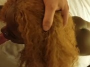 Whole scene ebony hookup POV doggy reverse cowgirl face fuck interracial awesome scene