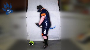 Rubber Cyclist Pup enjoying his gear (sniffing & pawing off)