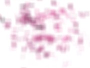 Girlsrimming - Blonde babe Katie Kush giving a gorgeous rimjob 14/16