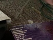 Let my mornin piss out on some old records and carpet after fingering myself