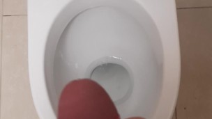 Fast Cum in Public Toilet