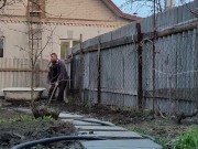 Vegetable garden in order 10/16