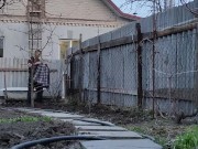 Vegetable garden in order 12/16