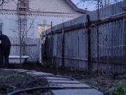 Vegetable garden in order 16/16