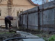 Vegetable garden in order 8/16