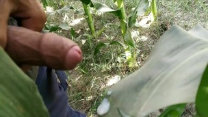 Hairy gay porn videos handjob and cumshot on plants