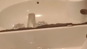 Freshly Shaved BBC