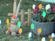 The Easter Bunny Gets Stuck!! 3/16