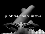 Oplodně ní samice audio