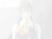 Preliminary inspection Trailer SYLD 3D Movie 1/16