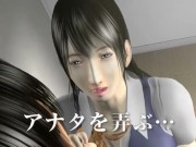 Preliminary inspection Trailer SYLD 3D Movie 4/16