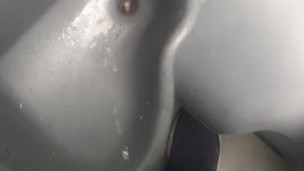 Pissing in a nasty Port a Potty 