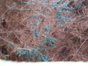 cojiendo culo grande en el bosque 1/16