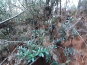 cojiendo culo grande en el bosque 5/16