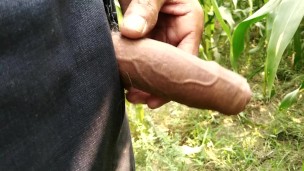 Indian big cock pissing in field public area 