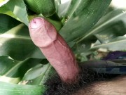 Boy is playing with big cocks in outdoor