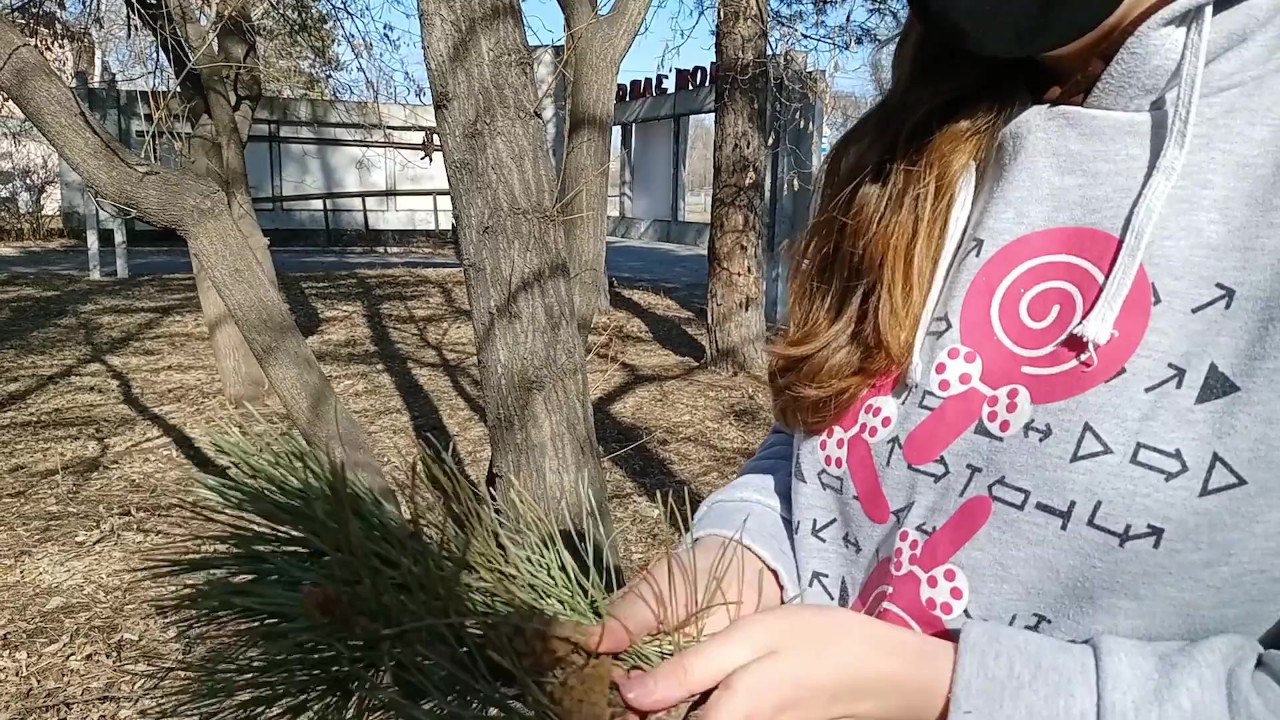 I walk bottomless next to a busy street - Darmowe seks wideo - RedTube