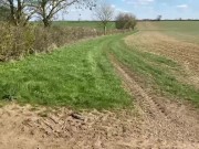 I asked my friend daughter to drop her to school and I fucked her in the car 1/16