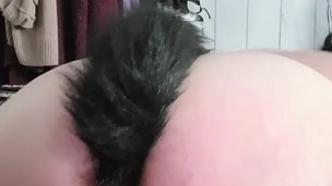 BBW xxkittens submissive neko girl butt plug tail play time