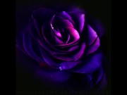 You Hurt Me, and I loved it written by LadyAmethyst