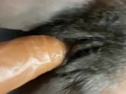 Hairy pussy Bouncing Fat ass and cunt on torso dildo! Fat Pussy! 16/16
