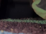 Whassup??;) - Screenshot 9 of 16 - Toys Solo