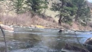 Stroking by the stream