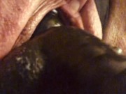 Pussy Cock wants Pussy to Fuck 16/16