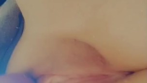 私の猫が脈動するのを見てください