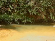 Hot and wild Blue Lagoon sex scene in the Amazon Rainforest! 1/16