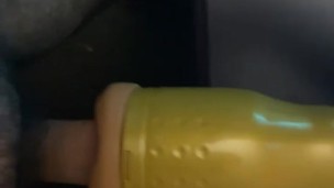 Horny chub